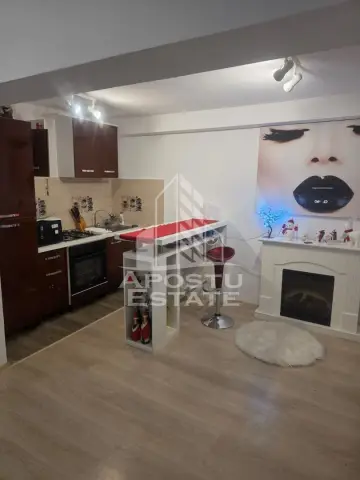 Apartament cu 1 cameră , renovat, Zona Semicentrală,Timișoara