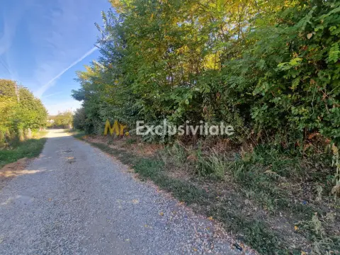 Teren intravilan Topoloveni