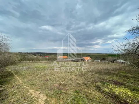 Teren intravilan pentru investitie, 2896 mp, Herneacova Timis