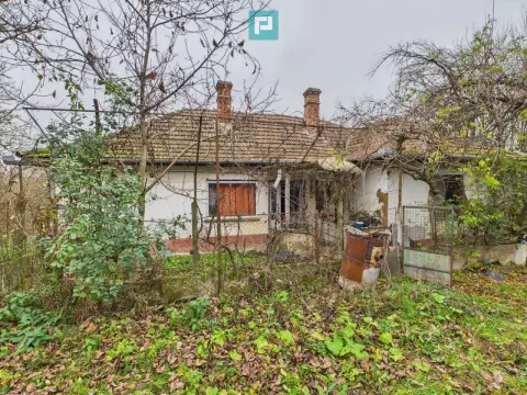 Casă 70 mp în Diosig, 1230 mp teren, cu Crama 25mp