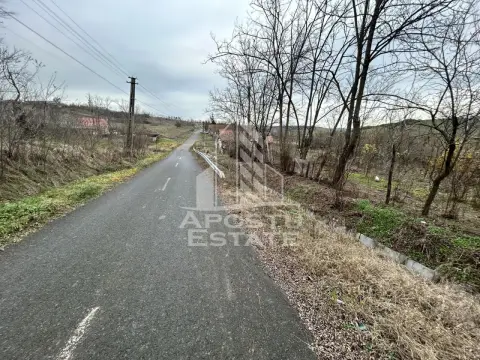 Teren 3920 mp, de vanzare, ideal casa de vacanta, Herneacova.