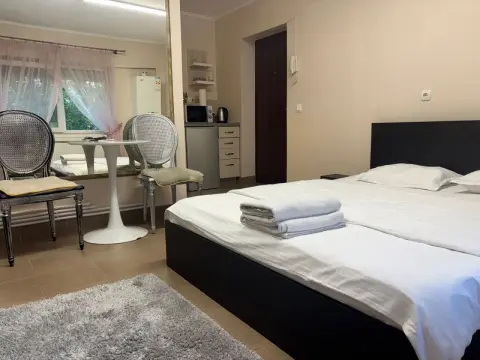 Vand garsoniera ,afacere booking /carpati 2
