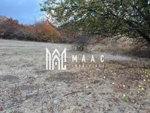 Teren de vânzare 5.000 mp | Poplaca | lângă pădure