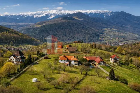 Casă tradițională cu 1800 mp teren în Sohodol, Bran | Priveliște superba