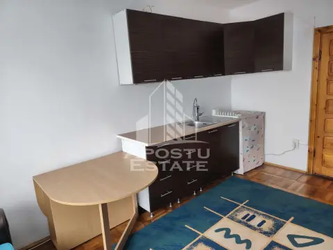Apartament cu 1 camera de vanzare, zona Blascovici, Timisoara
