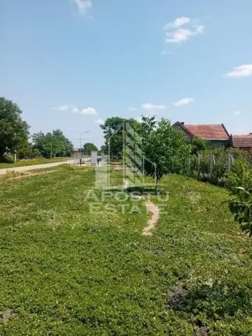 De vanzare livada mixta de 1,6 ha - deosebita și bine îngrijită