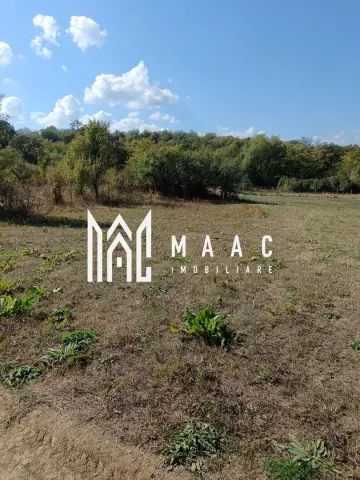 Teren 1000 mp, județul Sibiu, localitatea Amnas, pretabil A frame