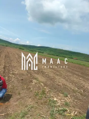 Teren extravilan de vânzare | Bradu | 10.000 mp | intabulat CF