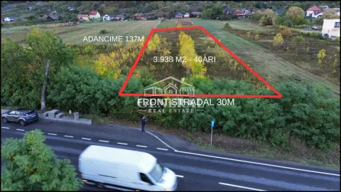 Teren de vanzare 4.000m2 in Cicarlau la Drum European E58 BM-SM KM-15