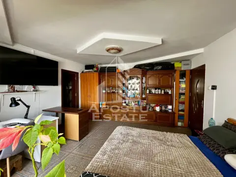 Apartament 2 camere de vanzare, zona Dambovita, Timisoara