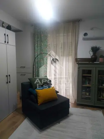 Studio in Remetea Mare
