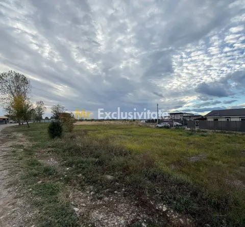 TEREN INTRAVILAN 3 LOTURI | 1.334 MP | BRADU | POTENȚIAL INVESTIȚIONAL