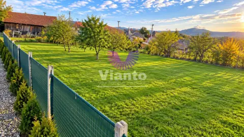 Teren intravilan de vanzare / Cornatel / 1200 mp