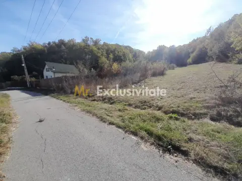 TEREN DE VANZARE IN BABANA, ARGES, LANGA PADURE