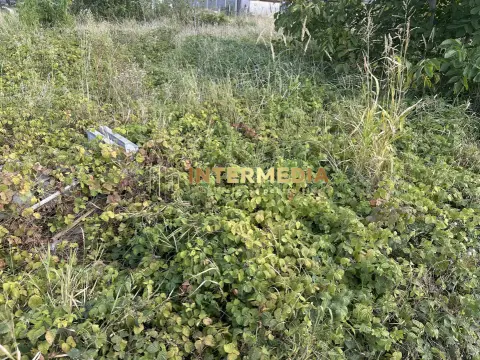 TEREN INTRAVILAN 480 MP I APA, GAZ, CURENT I DESCHIDERE LA STRADA 25 ML