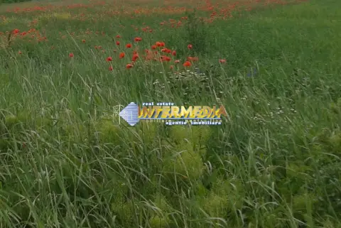 Teren intravilan 600 mp - 1800 mp zona Valea Popi