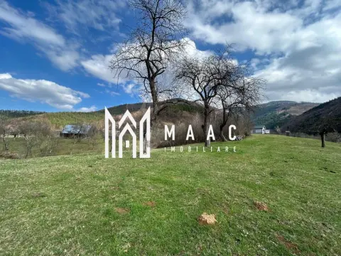 Teren intravilan I 1000 mp I Raul Sadului