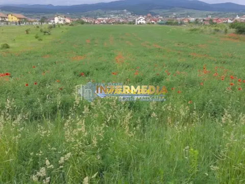 Teren intravilan 4300 mp de vanzare Alba Iulia, Zona Cetate