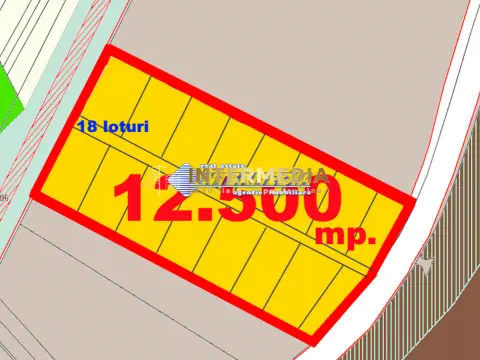 Vanzare Teren Intravilan 12500 mp PUZ aprobat construire Case Paclisa