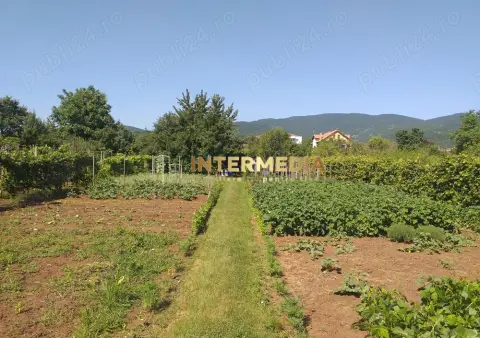 Teren Intravilan Vanzare 1400 mp. Alba Micesti deschidere 16m. Toate Utilitatile