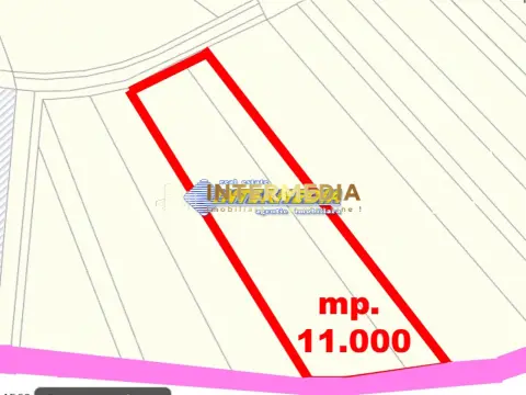 Teren Intravilan Constr Industriale 11800 mp PUZ utilitati Zona Carolina Mall