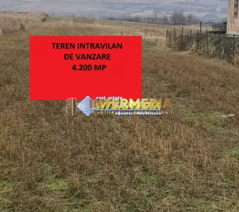 Teren intravilan 4200 mp de vanzare Alba Micesti cu utiliati langa
