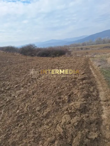 Teren extravilan de vanzare in suprafata de 15800 mp in Salistea, judet Alba