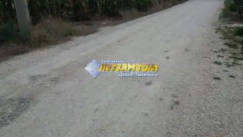 Teren Intravilan 11.150 mp deschidere 38 m. PUZ aprobat P+3 toate utilitatile