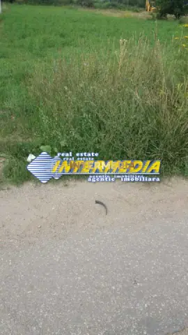 Teren de vanzare in Oarda, zona Ses la sosea 2000 mp