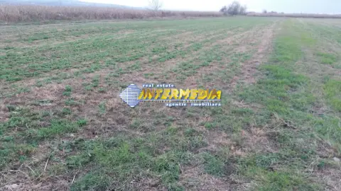 Teren Intravilan 5000 mp Zona Soseaua de Centura, Alba Iulia