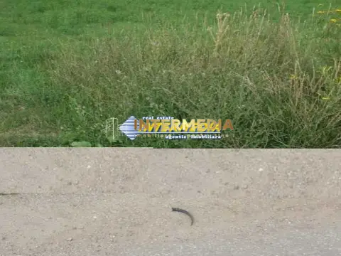 Teren Intravilan 600 mp in zona Alba Micesti, parcele diverse