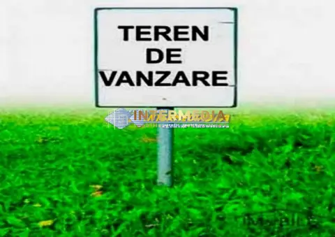 Teren intravilan 9800 mp deschidere de 64 ml in zona Alba Micesti