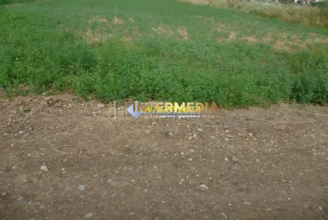 Teren intravilan de vanzare 600mp Paclisa