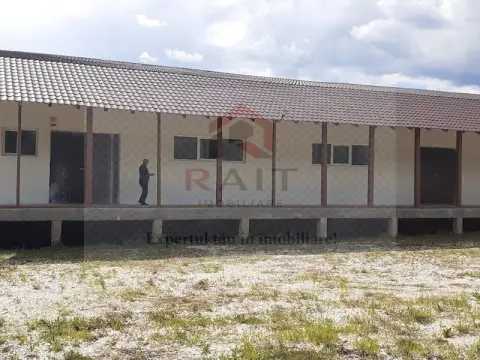 Hala de Inchiriat Godeni Arges
