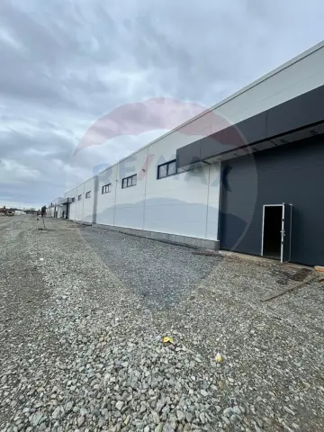 Hală 600 mp – ideală pentru logistică și distribuție