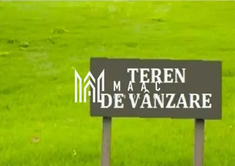 Teren montan | 6.043 Mp | Săliște