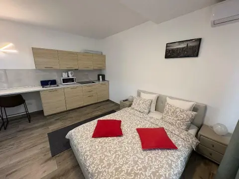 BRASADAS închiriază garsoniera in zona Unirii 2018 balcon.
