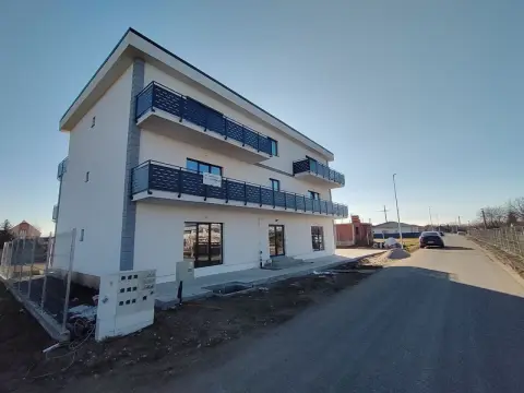BRASADAS vinde ap 2 cam PARTER zona Odoreului.