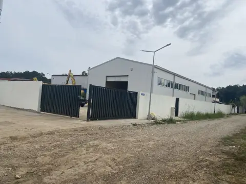 Hala de vanzare,Pantelimon