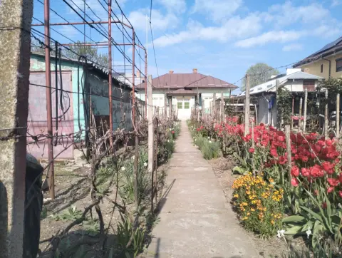 Casa de vanzare Oltenita