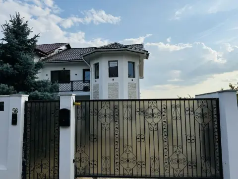 Vila Plopii fara sot, Bucium - Proprietar