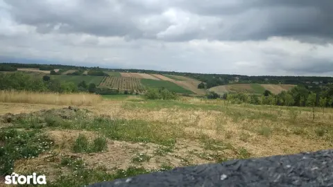 Ag EUROPA vinde 14 ari teren central in Ardud cu toate utilitatile.
