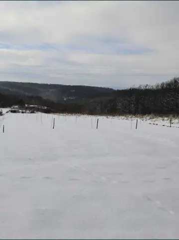 Teren cu o priveliste superba langa padure