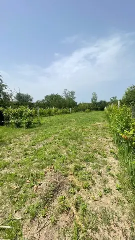 Vând teren intravilan, Str Dealului 64 - 936 mp,front stradal 13.4 m