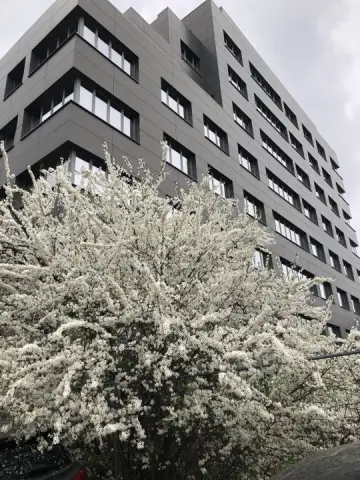 Spatiu comercial si birouri intersectie Timpuri Noi, suprafata 250mp+terasa,