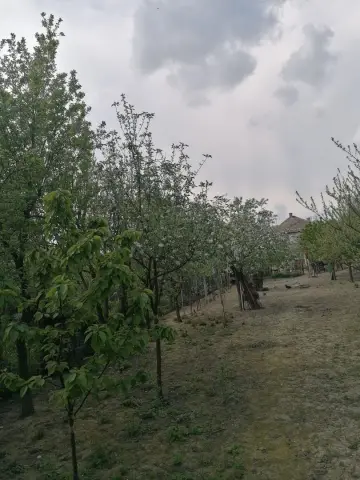 Ag EUROPA vinde casa 6 cam teren 11 ari în zona 14 Mai.