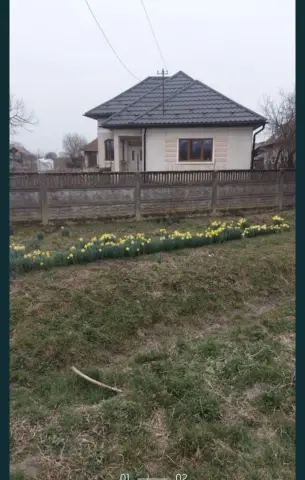 Casa Valea Vinului