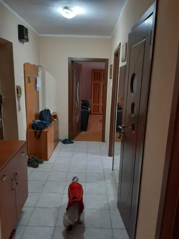 BRASADAS închiriază ap 2 cam Et 6/8 zona Unirii