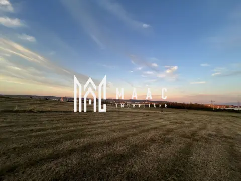 Teren Intravilan I 16500 MP | Priveliște Panoramică | Turnișor