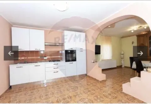 Casa/Vila 4 camere de vanzare